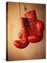 Red Boxing Gloves-null-Stretched Canvas