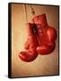 Red Boxing Gloves-null-Framed Stretched Canvas