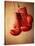 Red Boxing Gloves-null-Stretched Canvas