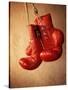 Red Boxing Gloves-null-Stretched Canvas