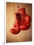 Red Boxing Gloves-null-Framed Photographic Print