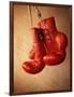 Red Boxing Gloves-null-Framed Photographic Print