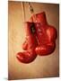 Red Boxing Gloves-null-Mounted Photographic Print