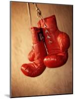 Red Boxing Gloves-null-Mounted Photographic Print