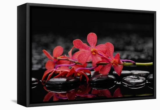 Red Branch Orchid Flower and Therapy Stones-crystalfoto-Framed Stretched Canvas