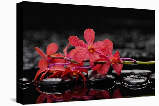 Red Branch Orchid Flower and Therapy Stones-crystalfoto-Stretched Canvas