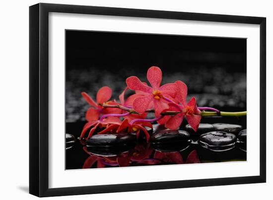 Red Branch Orchid Flower and Therapy Stones-crystalfoto-Framed Photographic Print