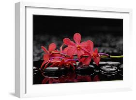 Red Branch Orchid Flower and Therapy Stones-crystalfoto-Framed Photographic Print