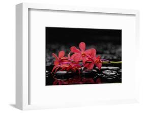 Red Branch Orchid Flower and Therapy Stones-crystalfoto-Framed Photographic Print