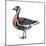 Red-Breasted Goose (Branta Ruficollis), Birds-Encyclopaedia Britannica-Mounted Poster
