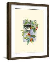 Red-Breasted Grosbeak-Janet Mandel-Framed Art Print