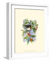 Red-Breasted Grosbeak-Janet Mandel-Framed Art Print