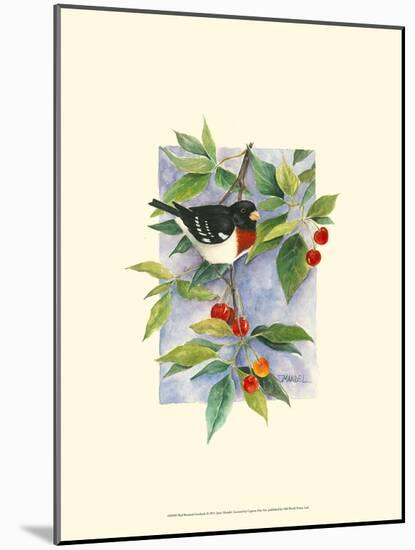 Red-Breasted Grosbeak-Janet Mandel-Mounted Art Print