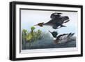 Black Frame