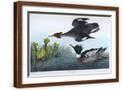 Brown Frame