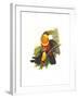 Red Breaster Toucan and Green Billed-John Gould-Framed Art Print