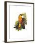 Red Breaster Toucan and Green Billed-John Gould-Framed Art Print