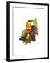 Red Breaster Toucan and Green Billed-John Gould-Framed Art Print