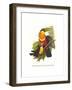 Red Breaster Toucan and Green Billed-John Gould-Framed Art Print