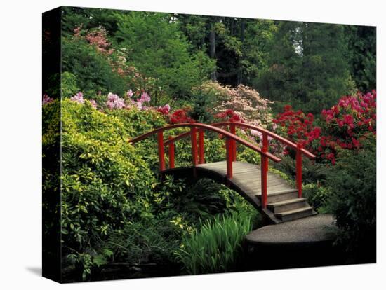 Red Bridge in Springtime, Koybota Gardens, Seattle, Washington, USA-Darrell Gulin-Stretched Canvas
