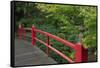 Red Bridge, Kubota Japanese Garden, Renton, Washington, USA-Merrill Images-Framed Stretched Canvas