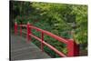 Red Bridge, Kubota Japanese Garden, Renton, Washington, USA-Merrill Images-Stretched Canvas