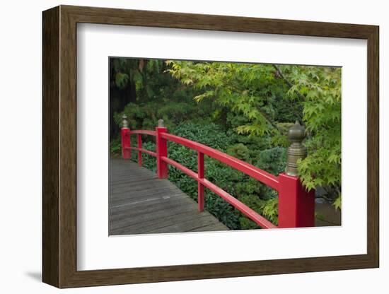 Red Bridge, Kubota Japanese Garden, Renton, Washington, USA-Merrill Images-Framed Photographic Print