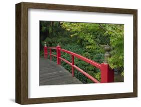 Red Bridge, Kubota Japanese Garden, Renton, Washington, USA-Merrill Images-Framed Photographic Print