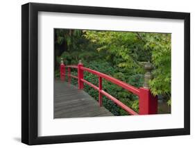 Red Bridge, Kubota Japanese Garden, Renton, Washington, USA-Merrill Images-Framed Photographic Print