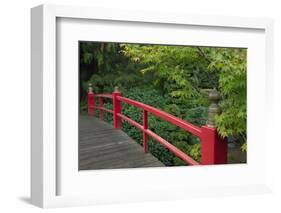 Red Bridge, Kubota Japanese Garden, Renton, Washington, USA-Merrill Images-Framed Photographic Print