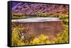 Red Brown Yellow Colorado River Reflection Abstract near Arches National Park Moab Utah-BILLPERRY-Framed Stretched Canvas