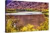 Red Brown Yellow Colorado River Reflection Abstract near Arches National Park Moab Utah-BILLPERRY-Stretched Canvas