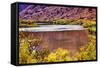 Red Brown Yellow Colorado River Reflection Abstract near Arches National Park Moab Utah-BILLPERRY-Framed Stretched Canvas