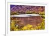 Red Brown Yellow Colorado River Reflection Abstract near Arches National Park Moab Utah-BILLPERRY-Framed Photographic Print