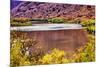 Red Brown Yellow Colorado River Reflection Abstract near Arches National Park Moab Utah-BILLPERRY-Mounted Photographic Print