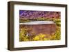 Red Brown Yellow Colorado River Reflection Abstract near Arches National Park Moab Utah-BILLPERRY-Framed Photographic Print