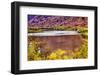 Red Brown Yellow Colorado River Reflection Abstract near Arches National Park Moab Utah-BILLPERRY-Framed Photographic Print