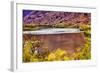 Red Brown Yellow Colorado River Reflection Abstract near Arches National Park Moab Utah-BILLPERRY-Framed Photographic Print