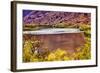 Red Brown Yellow Colorado River Reflection Abstract near Arches National Park Moab Utah-BILLPERRY-Framed Photographic Print