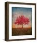 Red Bud No. 1-Thomas Stotts-Framed Art Print