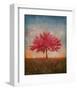 Red Bud No. 1-Thomas Stotts-Framed Art Print