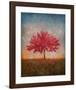 Red Bud No. 1-Thomas Stotts-Framed Art Print