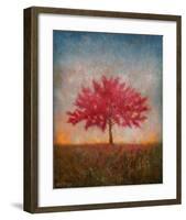 Red Bud No. 1-Thomas Stotts-Framed Art Print