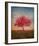 Red Bud No. 1-Thomas Stotts-Framed Art Print