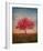 Red Bud No. 1-Thomas Stotts-Framed Art Print