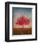 Red Bud No. 1-Thomas Stotts-Framed Art Print