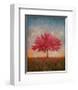 Red Bud No. 1-Thomas Stotts-Framed Art Print