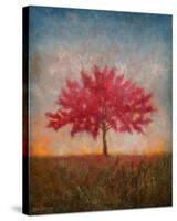 Red Bud No. 1-Thomas Stotts-Stretched Canvas