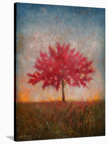 Red Bud No. 1-Thomas Stotts-Stretched Canvas