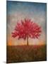 Red Bud No. 1-Thomas Stotts-Mounted Art Print